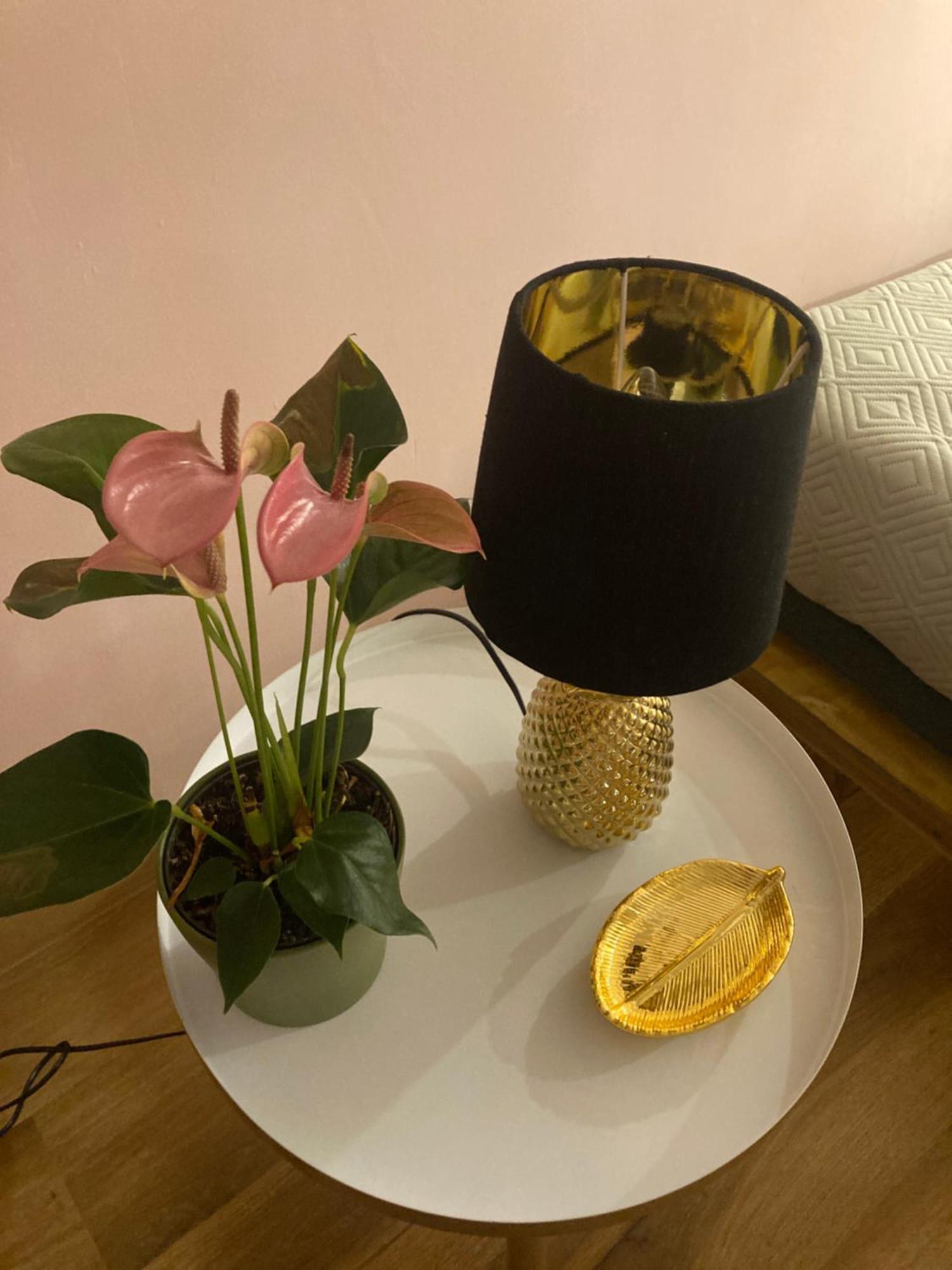 Duomo Suites Firenze Eksteriør bilde